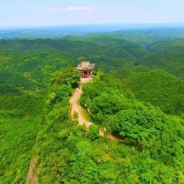 点赞！旬邑县上榜2021中国天然氧吧绿皮书！_发展_保护_生态