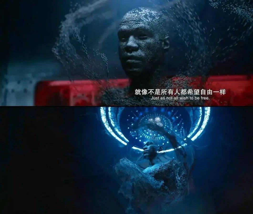 豆瓣9.1到5.7，破罐子破摔了吗？