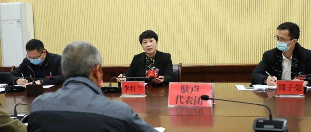 李红兰参加驮卢镇代表团讨论_发展_江州区_工作