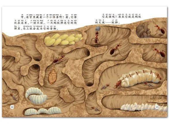 【科普绘本】4大领域32个主题，用精美的故事图画和音频培养小小科学家！