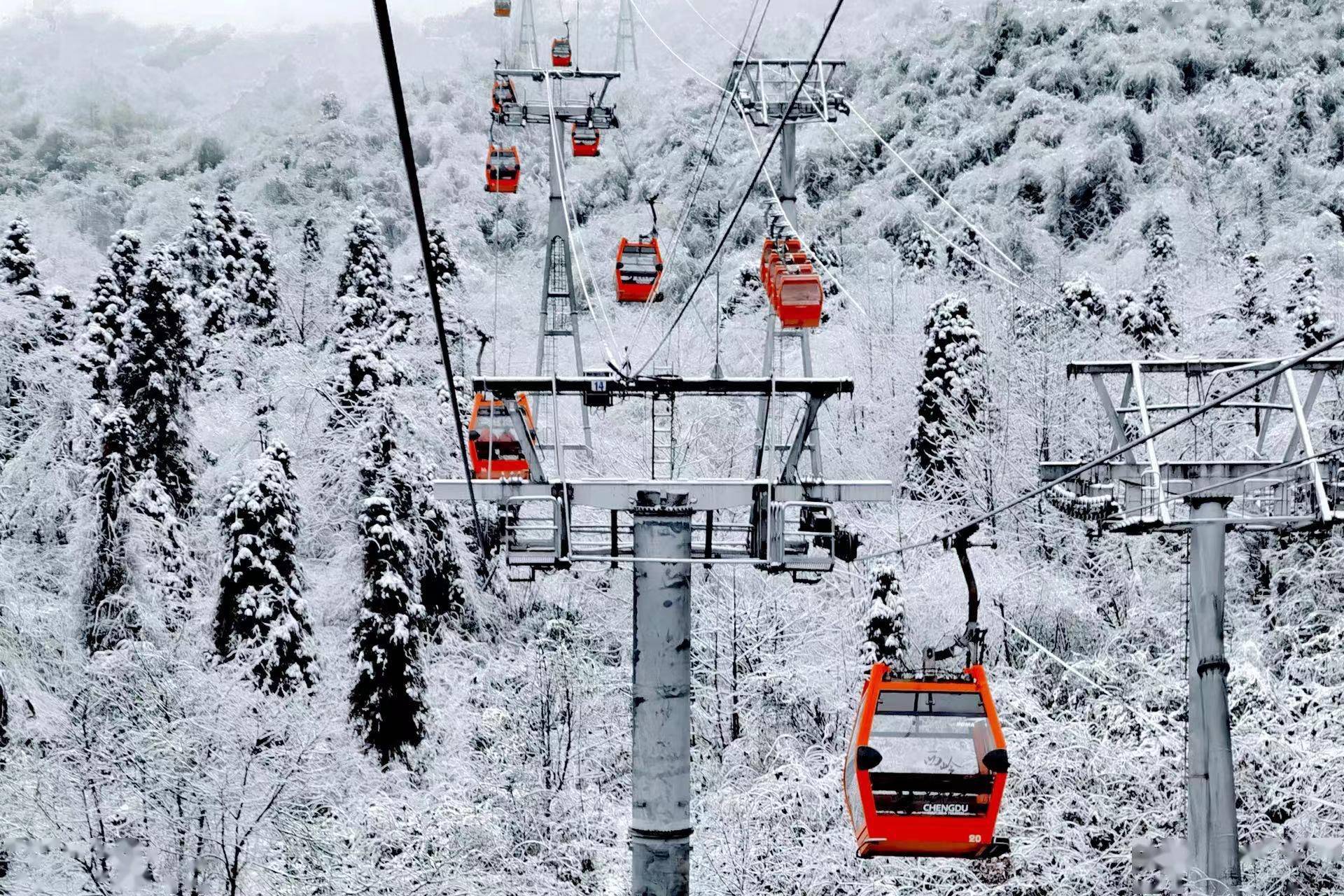 王荣|今日“客满”！西岭雪山景区游客预约达上限