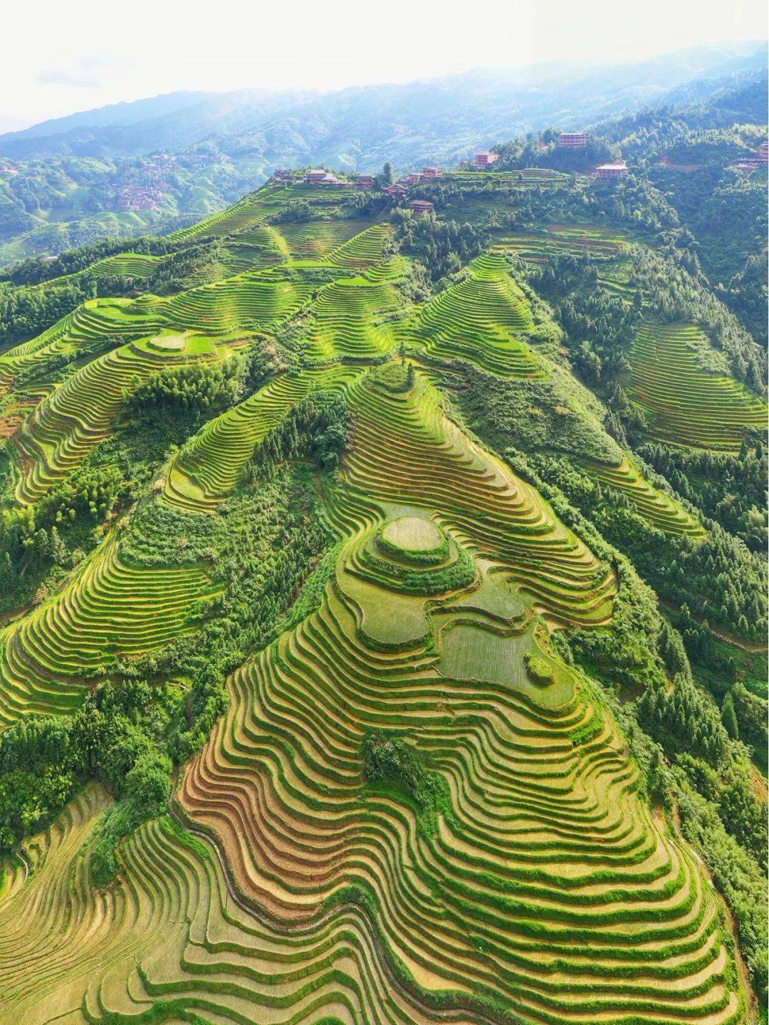 中国梯田,到底有多美?这50张图片就是最好的答案!_上堡_云和县_横屏