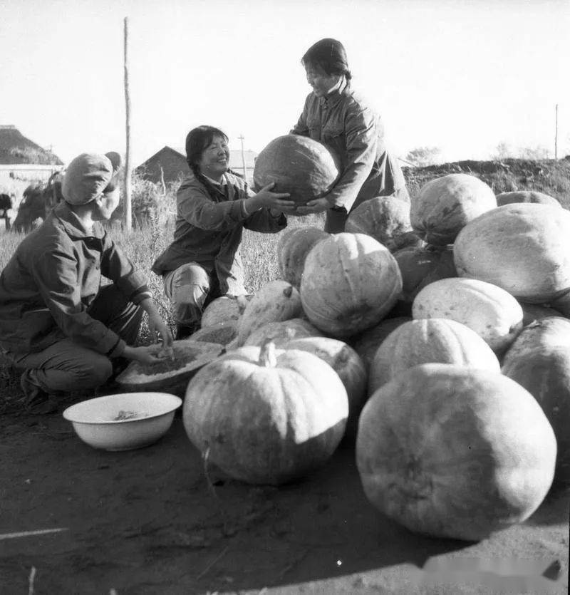 856关注一组来自856农场的老照片轰动国人