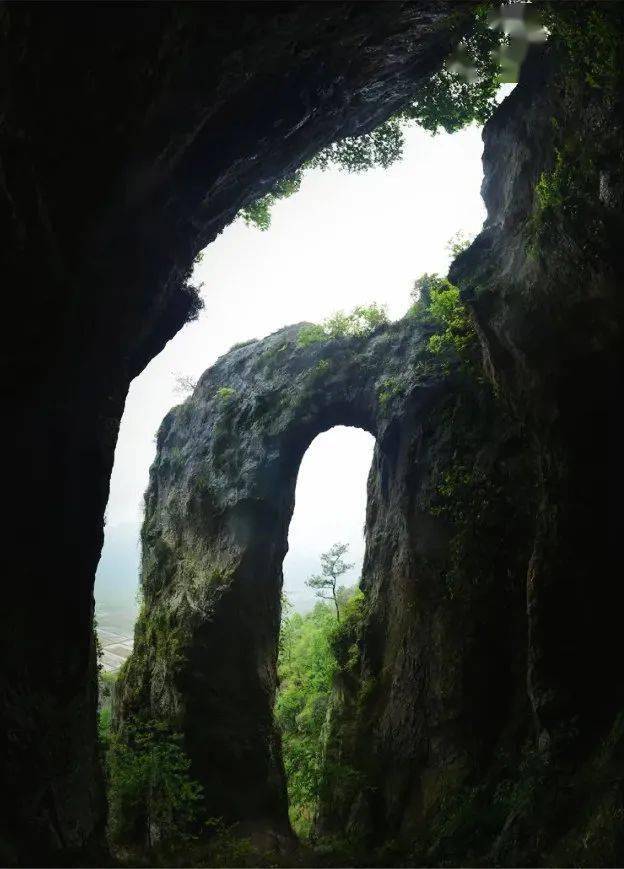 印象十里铁甲龙活了天台山寒岩明岩景区即将神奇出道