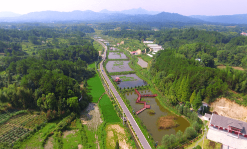 通城县北港镇横冲村肃清风善村风以清廉村居推动基层治理实现村强民富