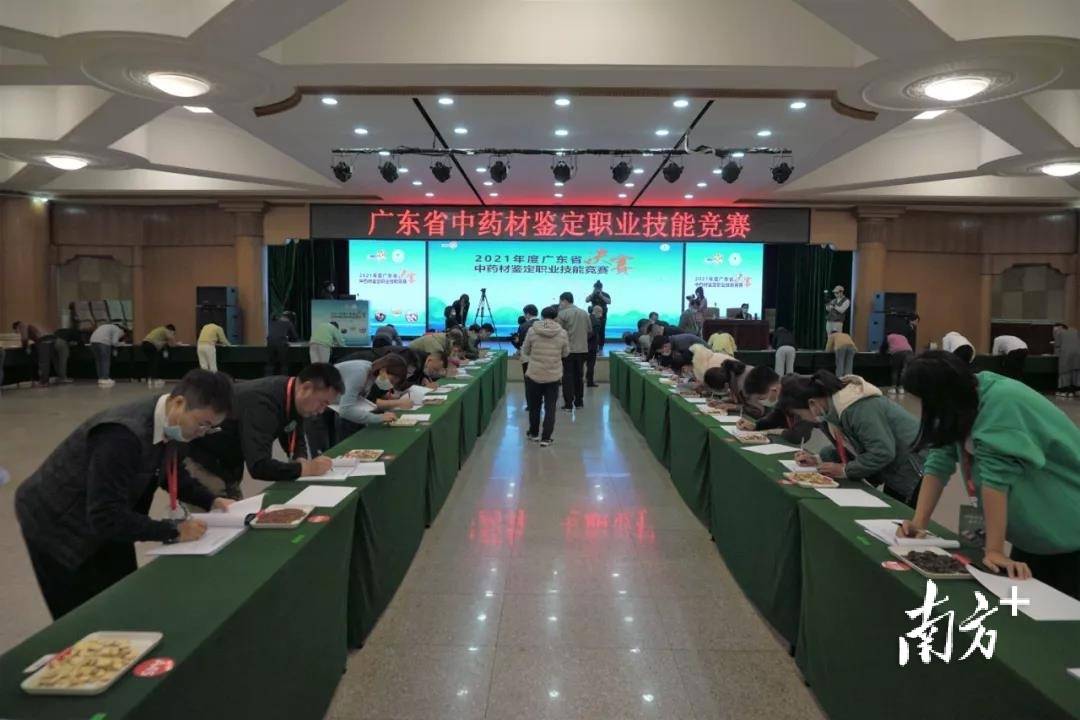英德市中医院在省中药材鉴定职业技能竞赛中获佳绩_杨天明_二等奖_理论