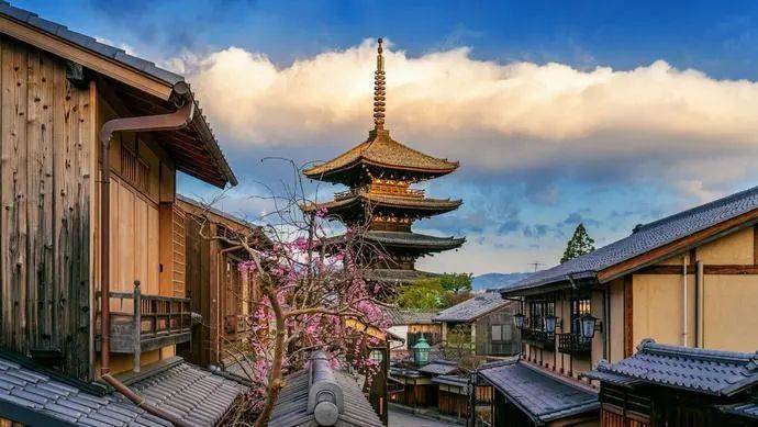 山区|疫情影响下日本旅游业寒冬，京都酒店开发却热火朝天？