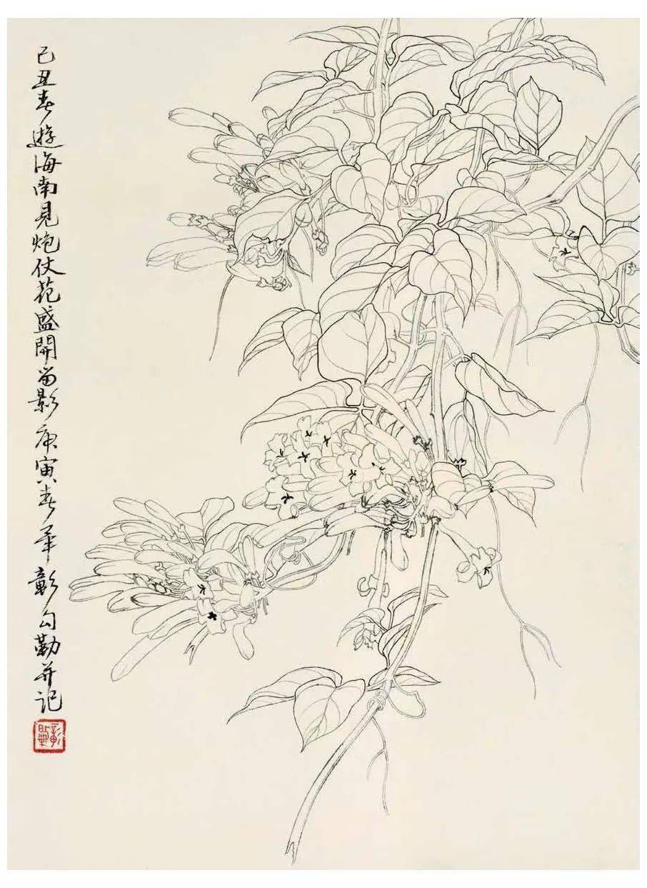 白描花鸟对比图片