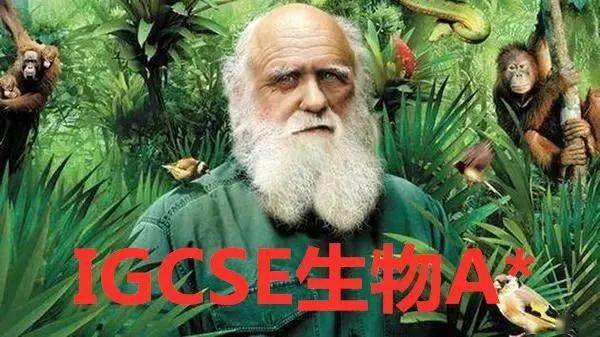 小班|IGCSE 秋考今日放榜！好运锦鲤转起来！