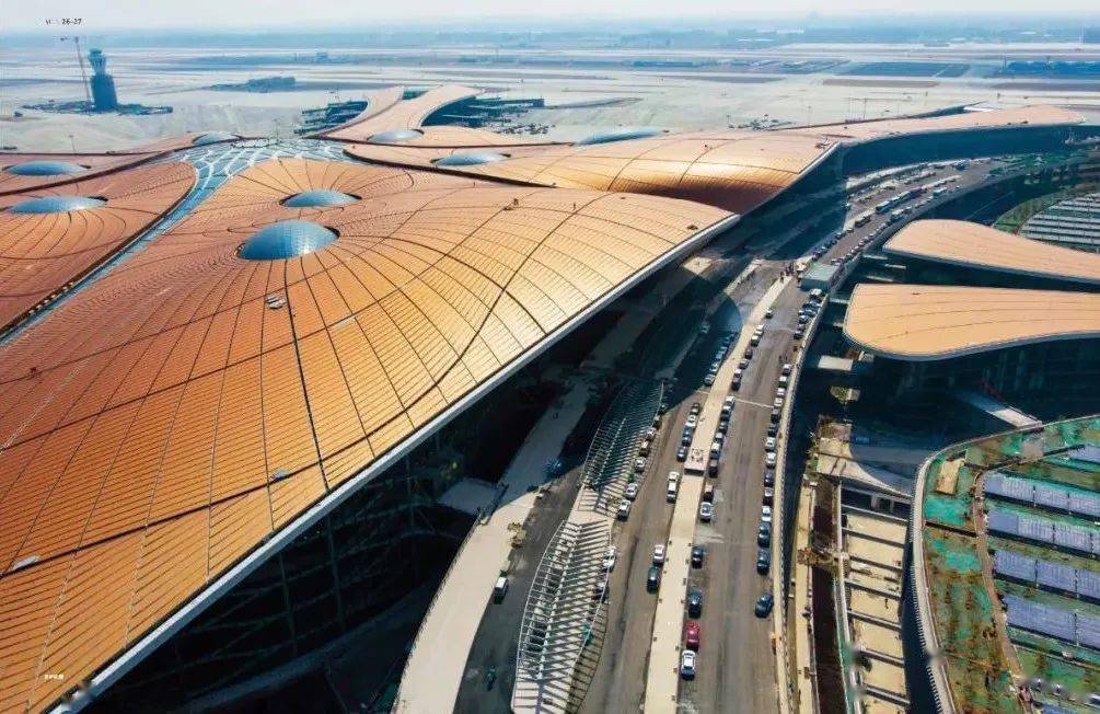 金秋野:像城市一样的机场和像机场一样的城市_奥兰多_候机_雷姆