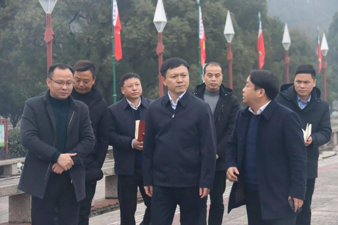 傅正华在龙市镇调研小城镇建设工作_井冈山_消费_规划