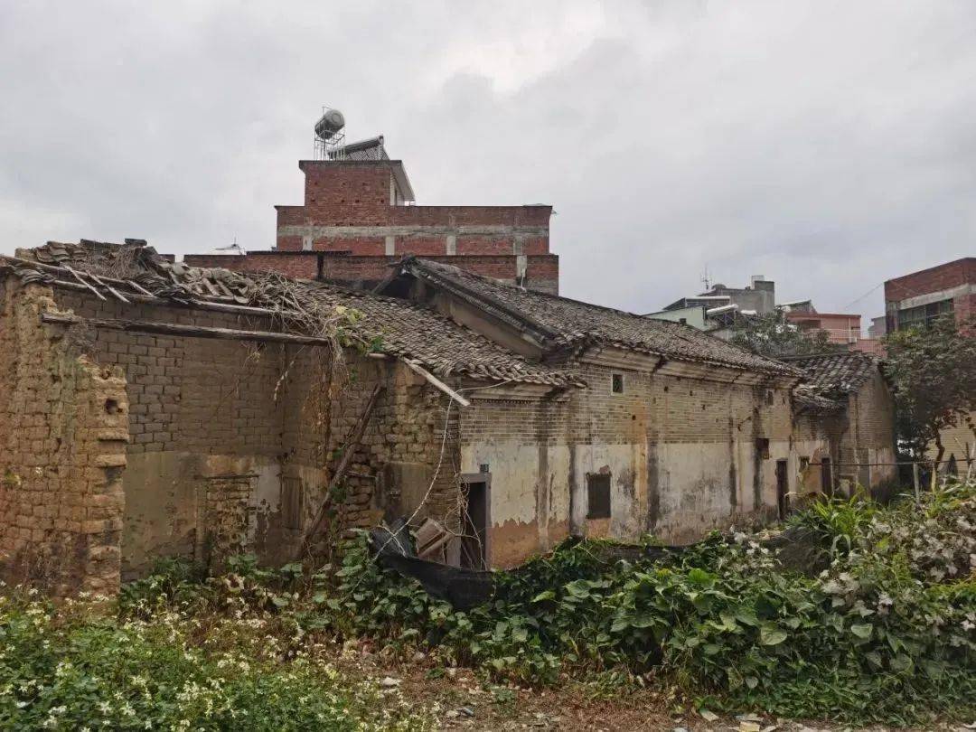 活动,1月18日,镇党委组织镇村干部到蓝塘村开展破旧泥砖房清拆行动