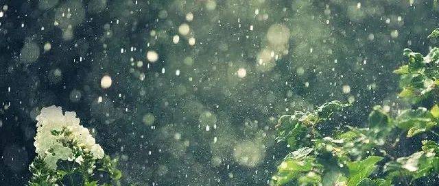 一大波雨雪在路上!节前苏州天气怎样?_过程_影响_降水