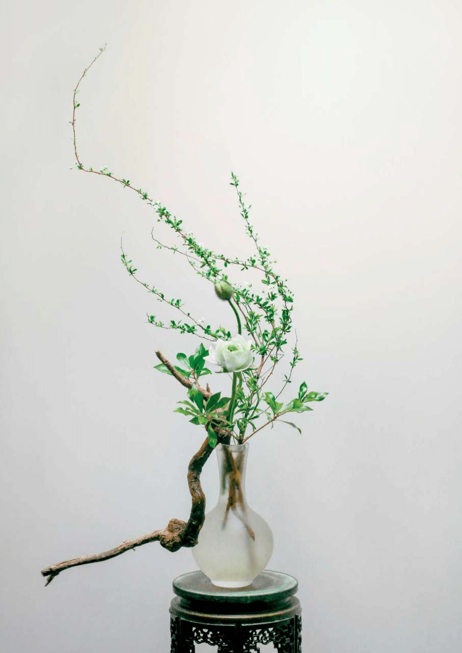 插花_侍花_自然