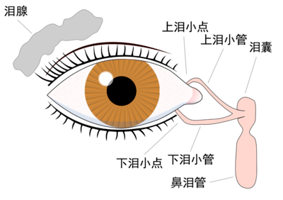 男人泪点低怎么办