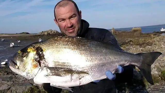 平常都有什么鱼 8df6e3facfb9473dbec3ab1a9baf8405.jpeg