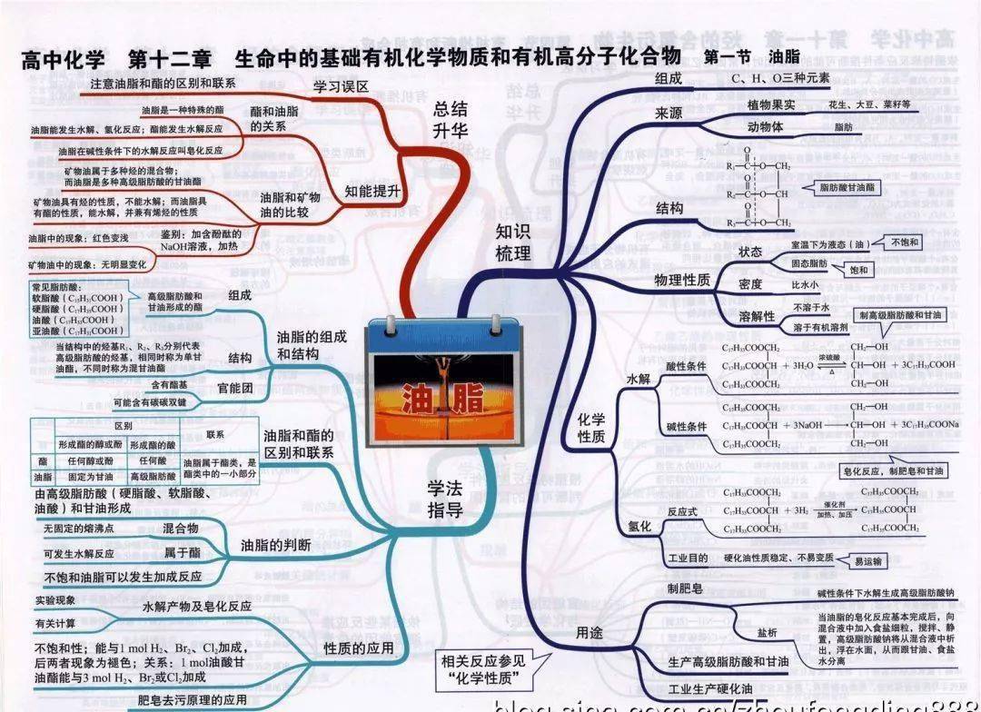 高中|高中九大学科思维导图最全汇总，高中三年都适用！（收藏）