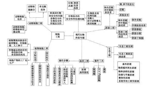 高中|高中九大学科思维导图最全汇总，高中三年都适用！（收藏）