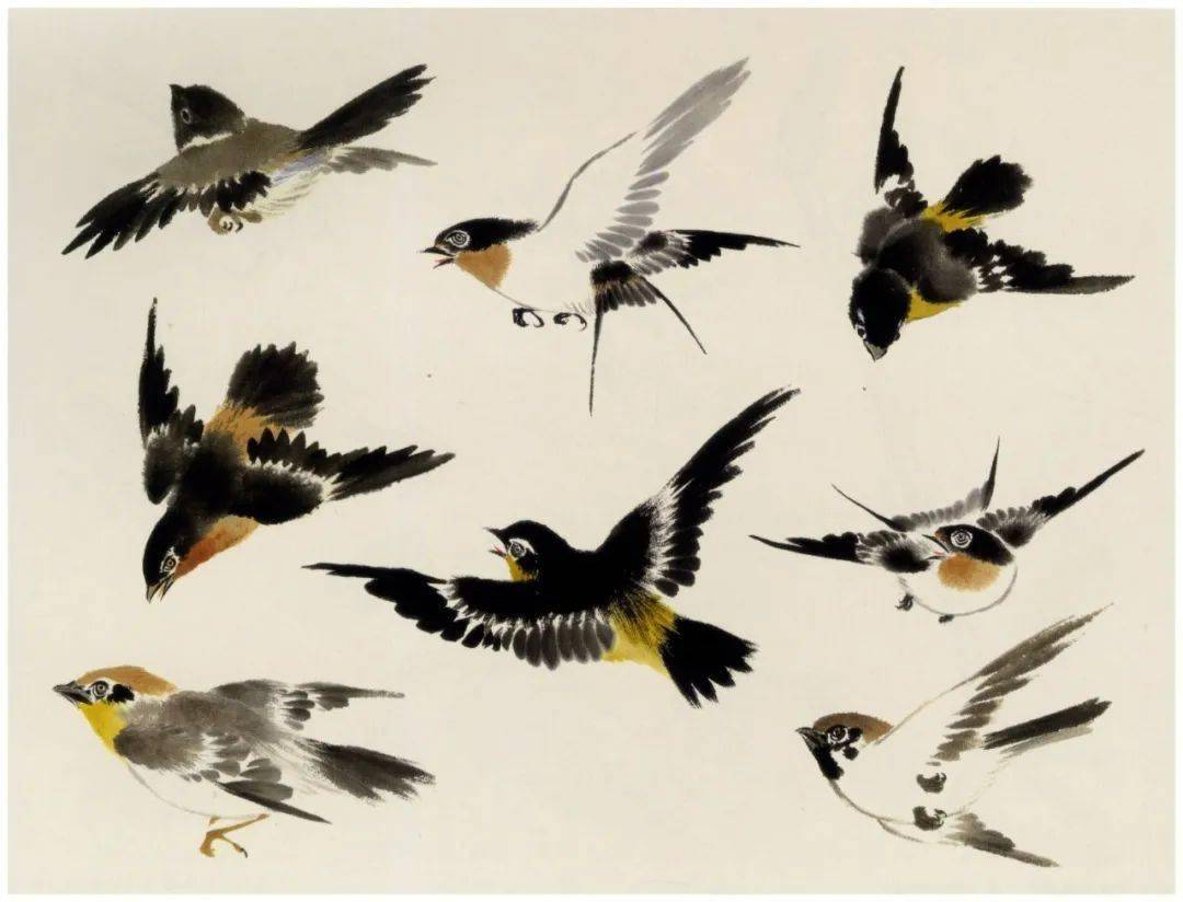 诗画阅微江寒汀笔下的鸟类姿态与构图