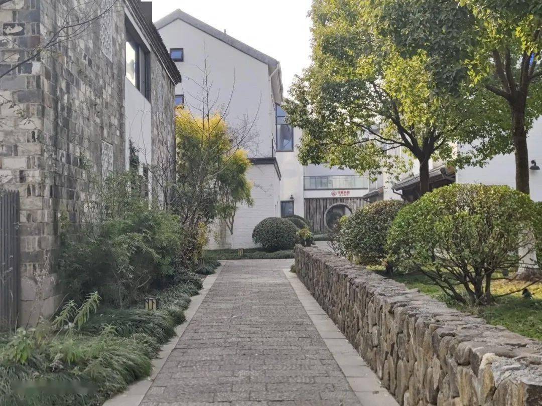 四款骁龙8系列手机拍照横评！各有各的离谱。。。