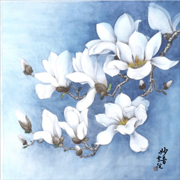 新年福利 | 妙音画院工笔画花卉直播课首发!