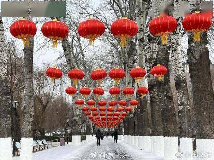 奥庆|大寒喜迎雪！北京市属公园迎冬奥庆春节景观上新