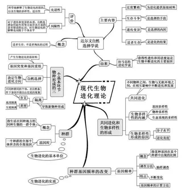 高中|高中九大学科思维导图最全汇总，高中三年都适用！（收藏）