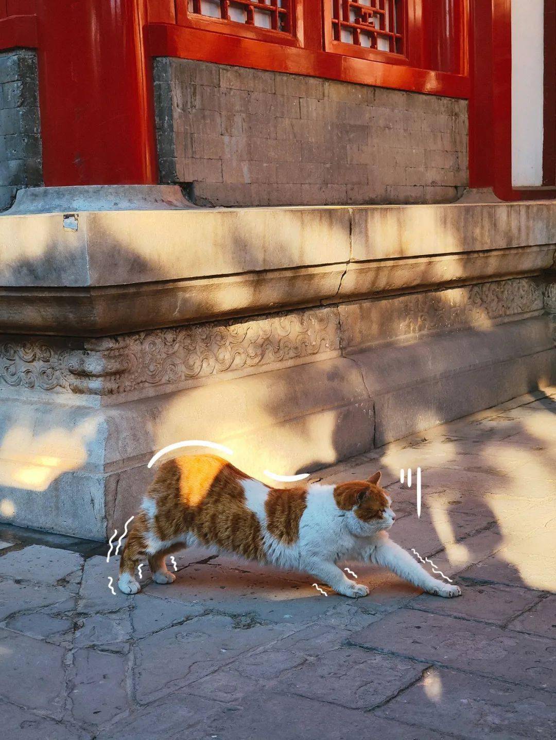 贺岁|顶流明星贺岁,送你全年表情包