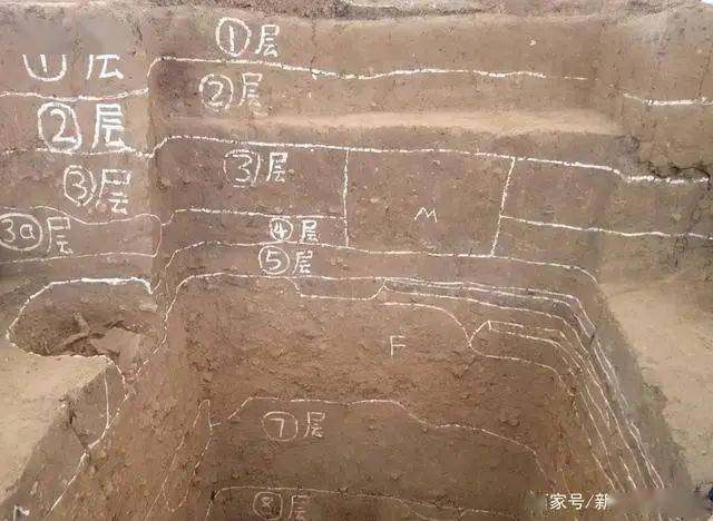 南阳黄山遗址考古新发现_屈家岭_墓葬_生产