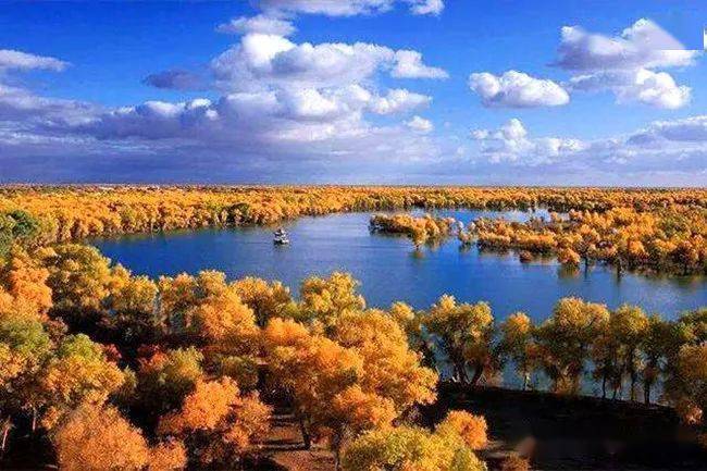 新疆麦盖提县一个被沙漠环绕的新疆小县城99的人都没去过