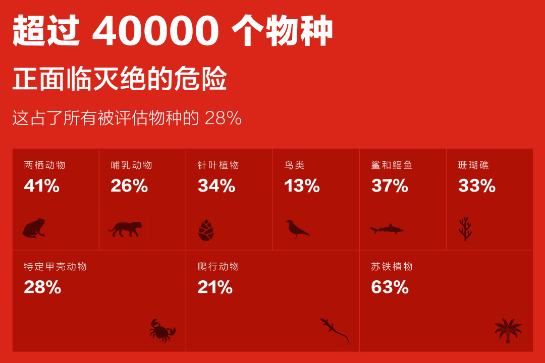 上世纪,地球物种正以较正常自然消亡快逾 100 倍的速度减少