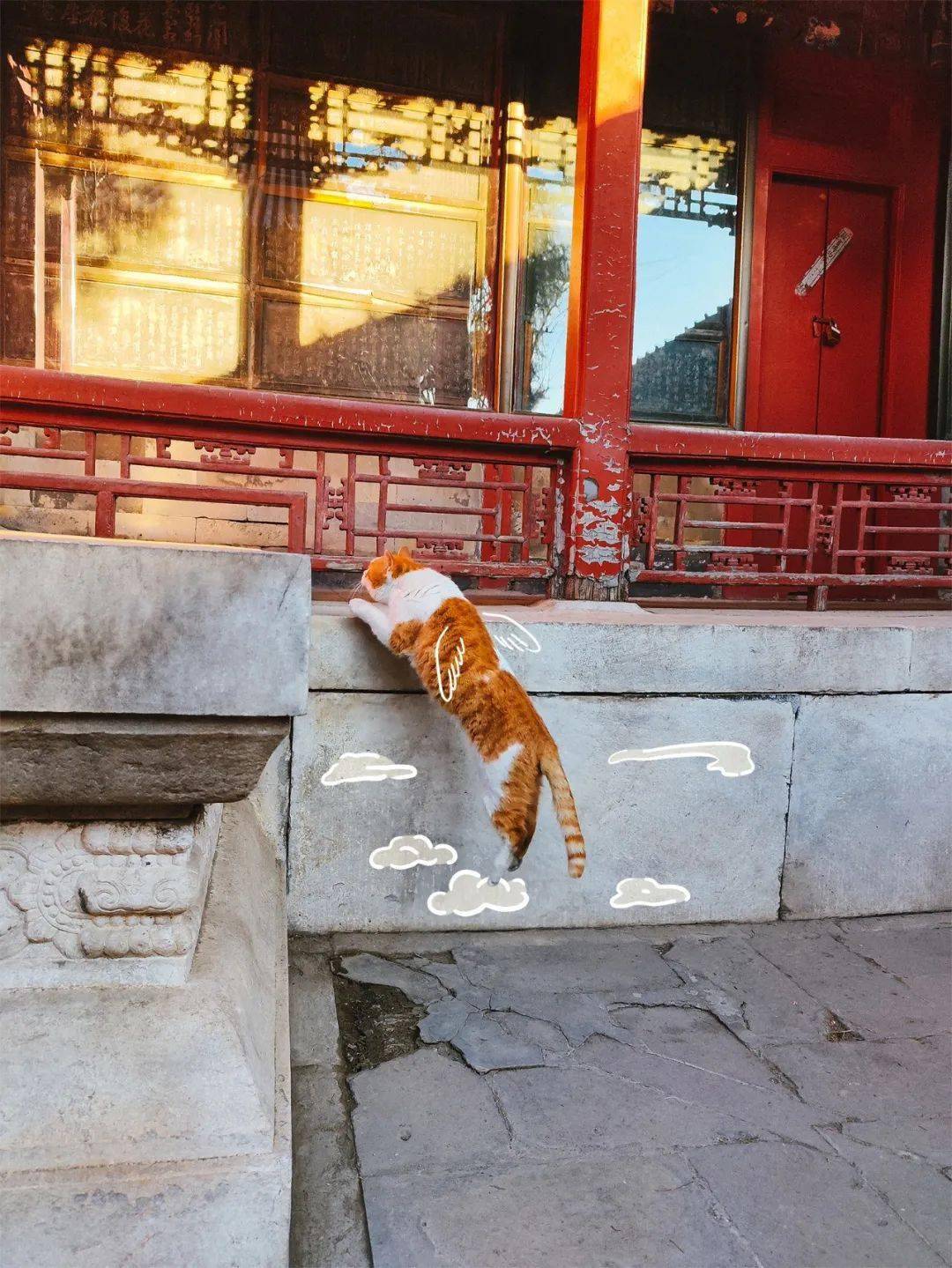 贺岁|顶流明星贺岁,送你全年表情包