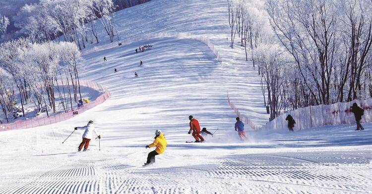 吉林|吉林市丰满区：雪漫群山 至幻至美