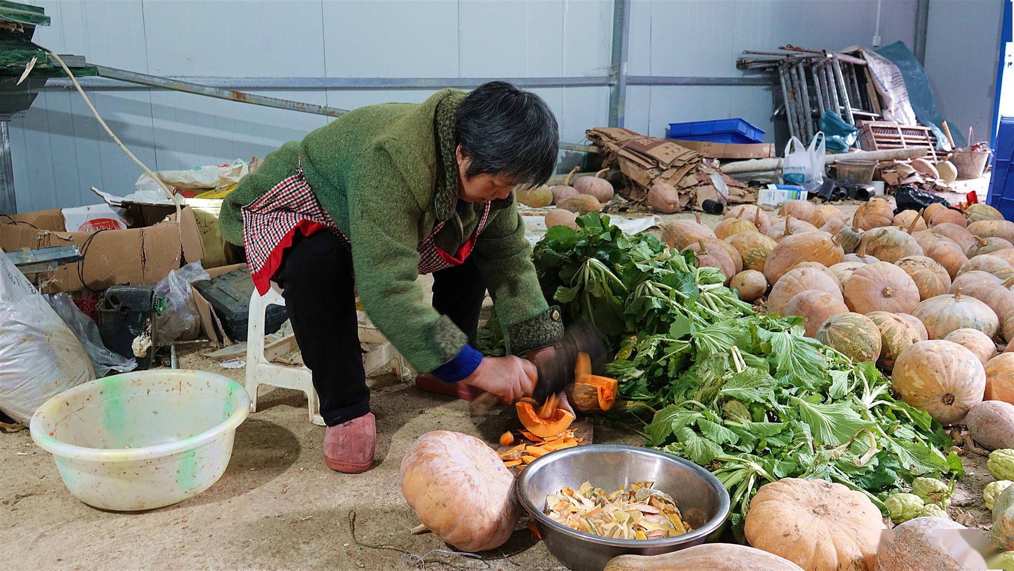 致富路|泸州市古蔺县：返乡养石蛙 铺就致富路