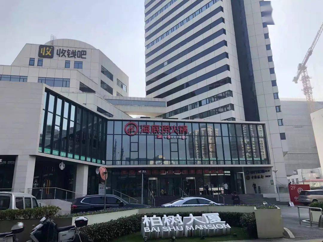 曲阳路街道_大厦_柏树