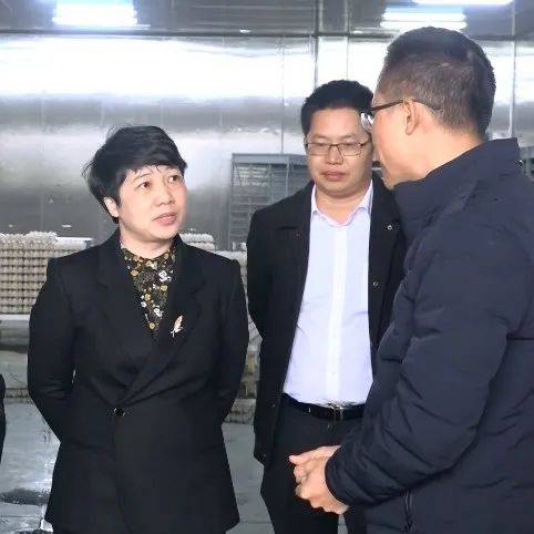 李红兰到罗白乡开展农业项目调研工作_建设_企业_养殖