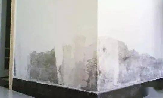 fa16633cf7ac45c58c761bc598a2cb8a.jpeg