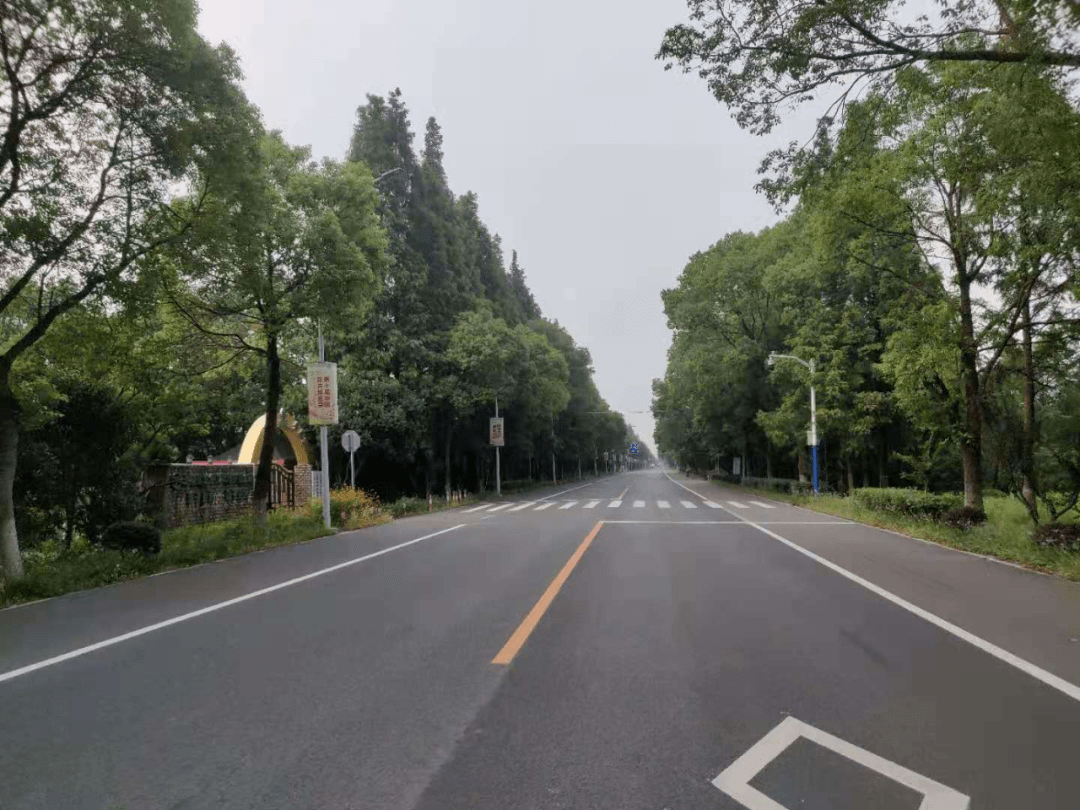 崇明6条道路变身精品示范路快看看有你家附近的吗