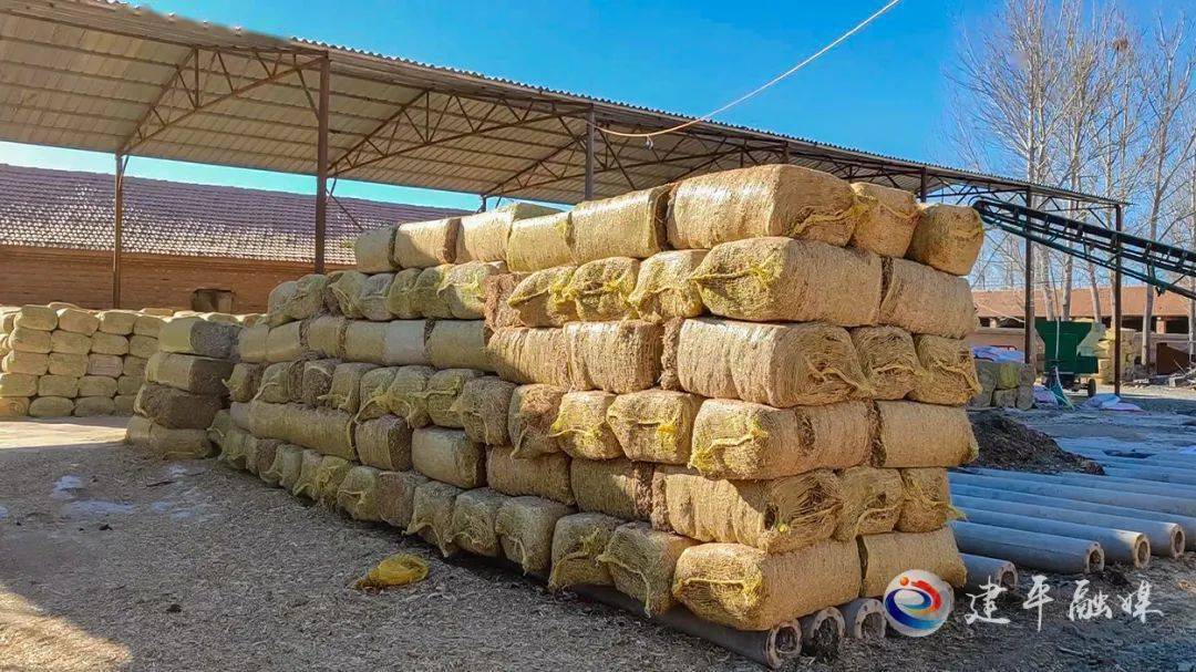 秸秆经过加工处理后变成了圆柱形和立方形的秸秆包,这些秸秆包有了新