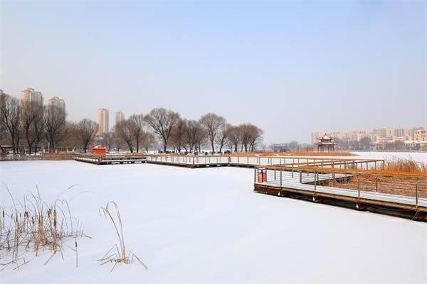 雪景|河北滦南：北河雪景美如画