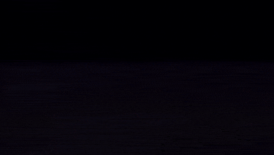 树姐|山姆同款断货王！4折入手！全靠运气抢！