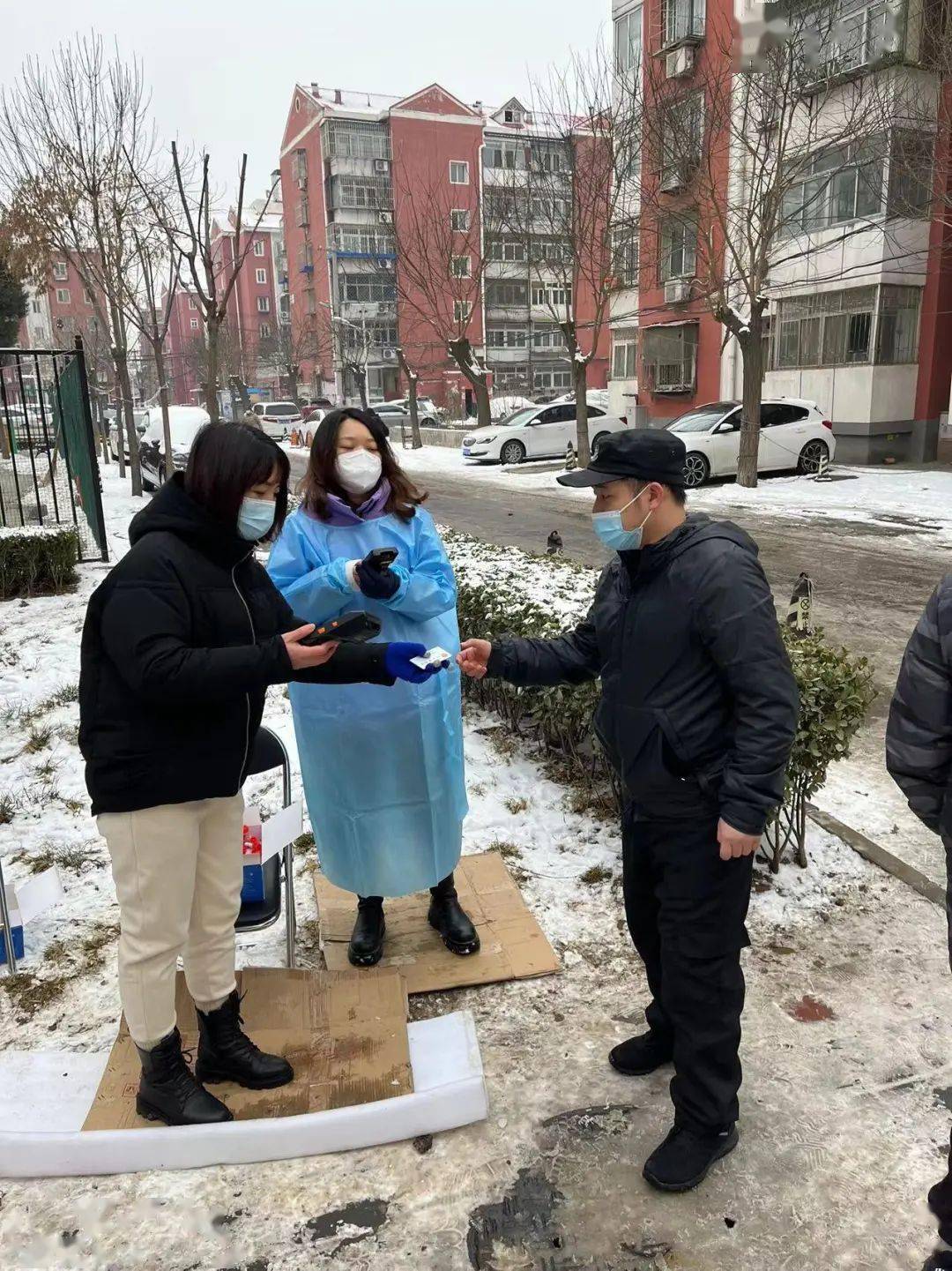 程雨桐陆路图片