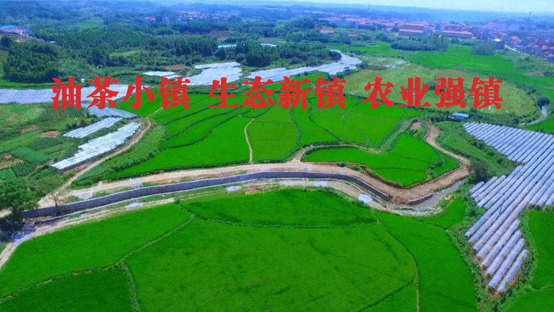 精准摸排科学施策四望镇念好四字诀全力以赴打好疫情防控阻击战