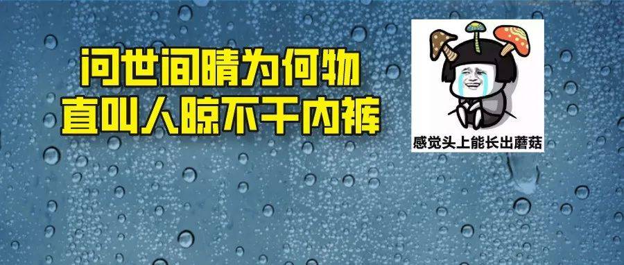 弱冷空气抵桂！阴雨继续霸屏 雨夹雪冰冻上线 回南天…… 河南这场降雪将连下7天 广西 桂北