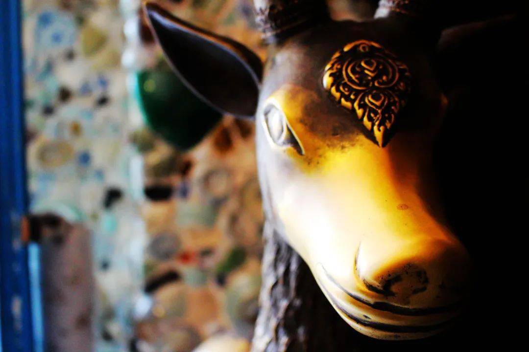 �������ޣ���ֻС�һ����ܰ�ɰ�����ʥ�������ӻʼҵ����� ...