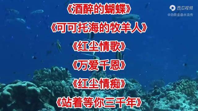 酒醉的蝴蝶可可托海的牧羊人紅塵情歌萬愛千恩