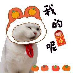 af44bef1894e482b8b5b9a499cd704a1.jpeg