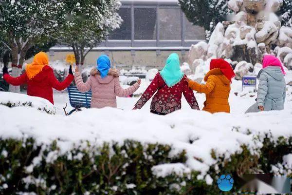 疫情|雪景美如画，市民玩嗨了！郑州这个昨天卖脱销，你抢到了吗？