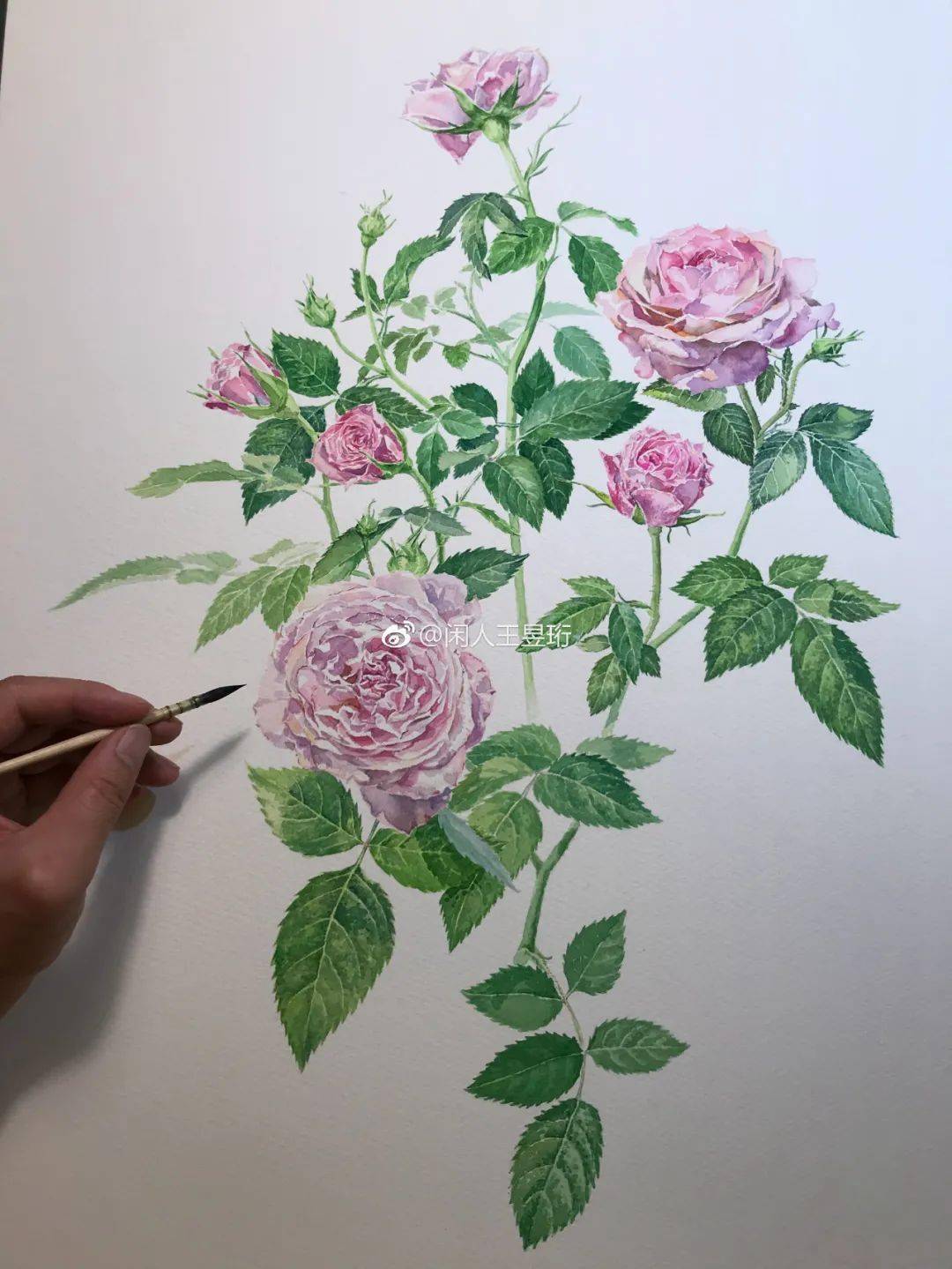 全能才子王昱珩清华毕业不工作鼓励女儿不上学却是人人膜拜的终极男神