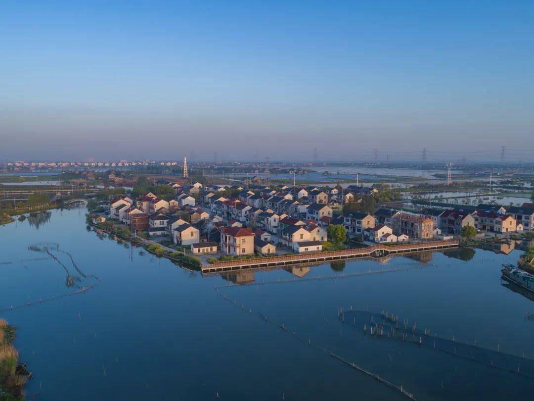 嘉善这个水美乡镇美极了